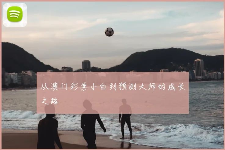 从澳门彩票小白到预测大师的成长之路