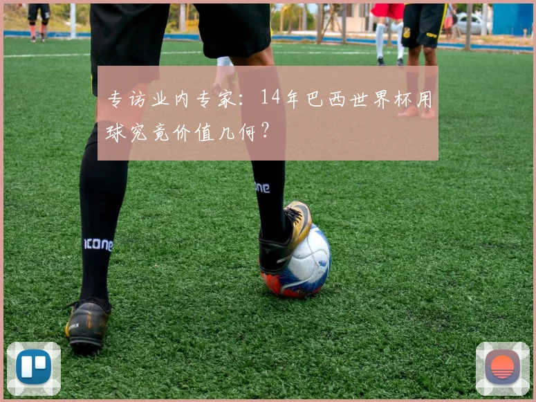 专访业内专家：14年巴西世界杯用球究竟价值几何？