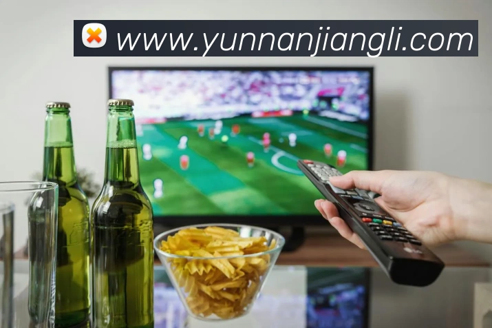 数据分析功能